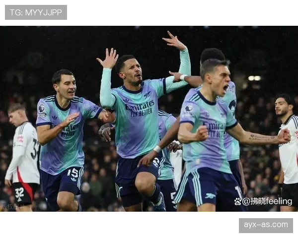 皇家马德里转会最新进展