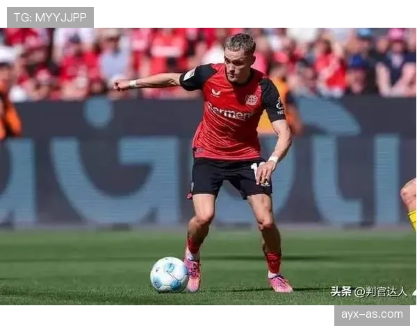 维尔茨成长空间解析 维尔茨成长空间解析